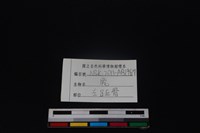 梅花鹿骨藏品圖，第4張
