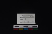 梅花鹿骨藏品圖，第3張