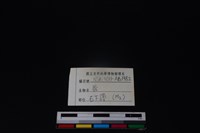 梅花鹿骨藏品圖，第4張