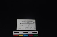 梅花鹿骨藏品圖，第3張