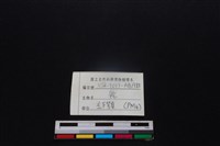 梅花鹿骨藏品圖，第3張