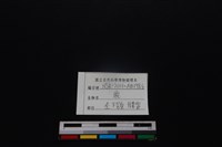 梅花鹿骨藏品圖，第3張