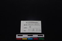 梅花鹿骨藏品圖，第3張