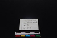 梅花鹿骨藏品圖，第3張