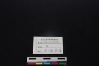 梅花鹿骨藏品圖，第3張