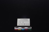 梅花鹿骨藏品圖，第3張