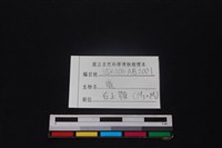 梅花鹿骨藏品圖，第3張