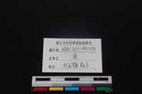 梅花鹿骨藏品圖，第3張