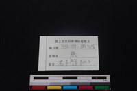 梅花鹿骨藏品圖，第3張