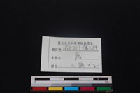 梅花鹿骨藏品圖，第3張