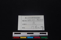 梅花鹿骨藏品圖，第3張
