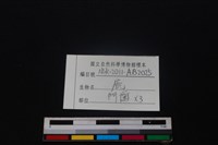 梅花鹿骨藏品圖，第3張