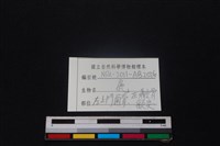梅花鹿骨藏品圖，第3張