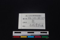 梅花鹿骨藏品圖，第3張
