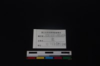梅花鹿骨藏品圖，第3張