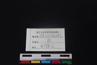 梅花鹿骨藏品圖，第3張