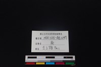 梅花鹿骨藏品圖，第3張