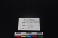 梅花鹿骨藏品圖，第3張