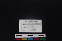 梅花鹿骨藏品圖，第3張