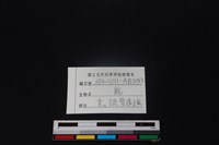 梅花鹿骨藏品圖，第3張