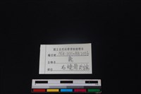 梅花鹿骨藏品圖，第3張