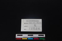 梅花鹿骨藏品圖，第3張