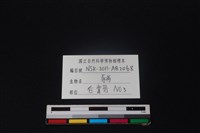 豬骨藏品圖，第3張