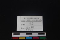 豬骨藏品圖，第3張