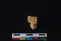 豬骨藏品圖，第1張