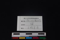 豬骨藏品圖，第3張