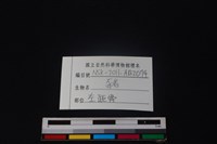 豬骨藏品圖，第3張