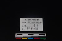 豬骨藏品圖，第3張