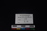 豬骨藏品圖，第3張