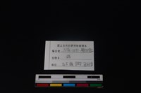 豬骨藏品圖，第3張