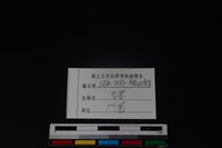 豬骨藏品圖，第3張