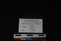豬骨藏品圖，第3張