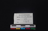豬骨藏品圖，第3張