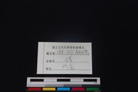 豬骨藏品圖，第3張