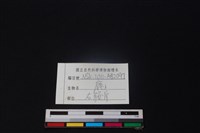 鹿骨藏品圖，第3張