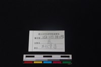 鹿骨藏品圖，第3張