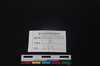 鹿骨藏品圖，第3張