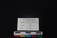 鹿骨藏品圖，第3張