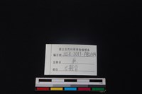 鹿骨藏品圖，第3張