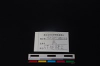 鹿骨藏品圖，第3張