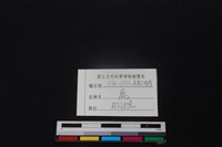 鹿骨藏品圖，第4張