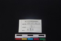 鹿骨藏品圖，第3張
