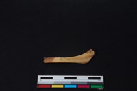 鹿骨藏品圖，第2張