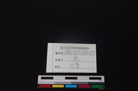 鹿骨藏品圖，第3張