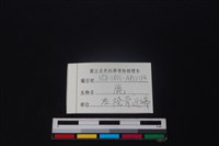 鹿骨藏品圖，第3張