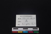 鹿骨藏品圖，第3張